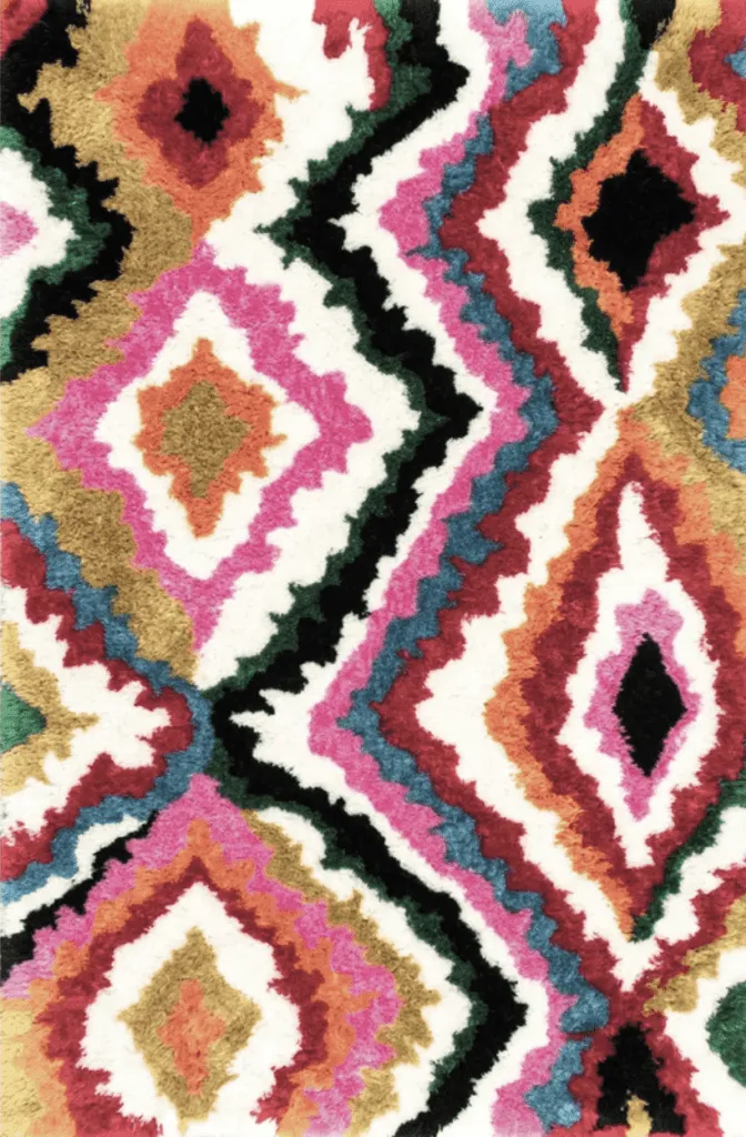 Colorful Shag Rug